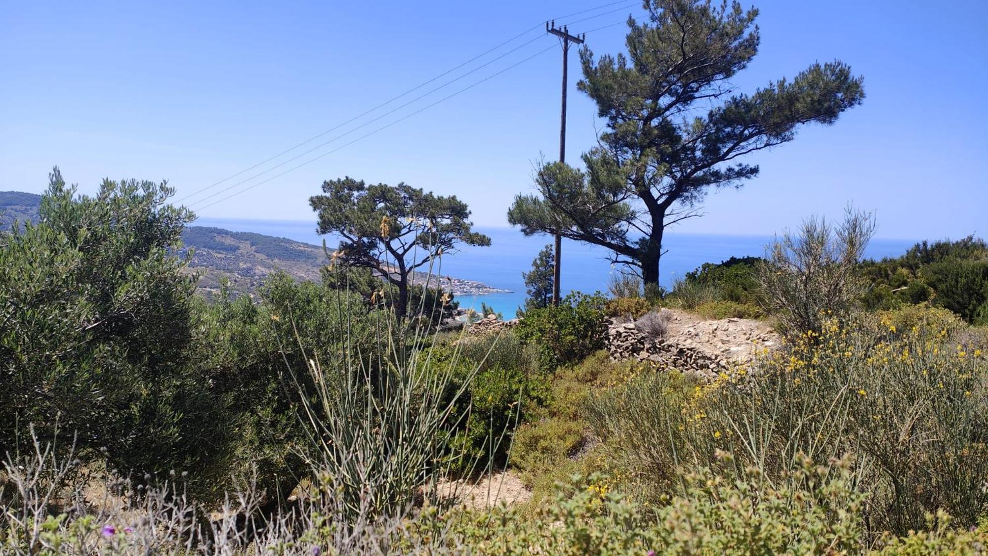 Spitikariotiko My Ikarian * Raches (Ikaria)