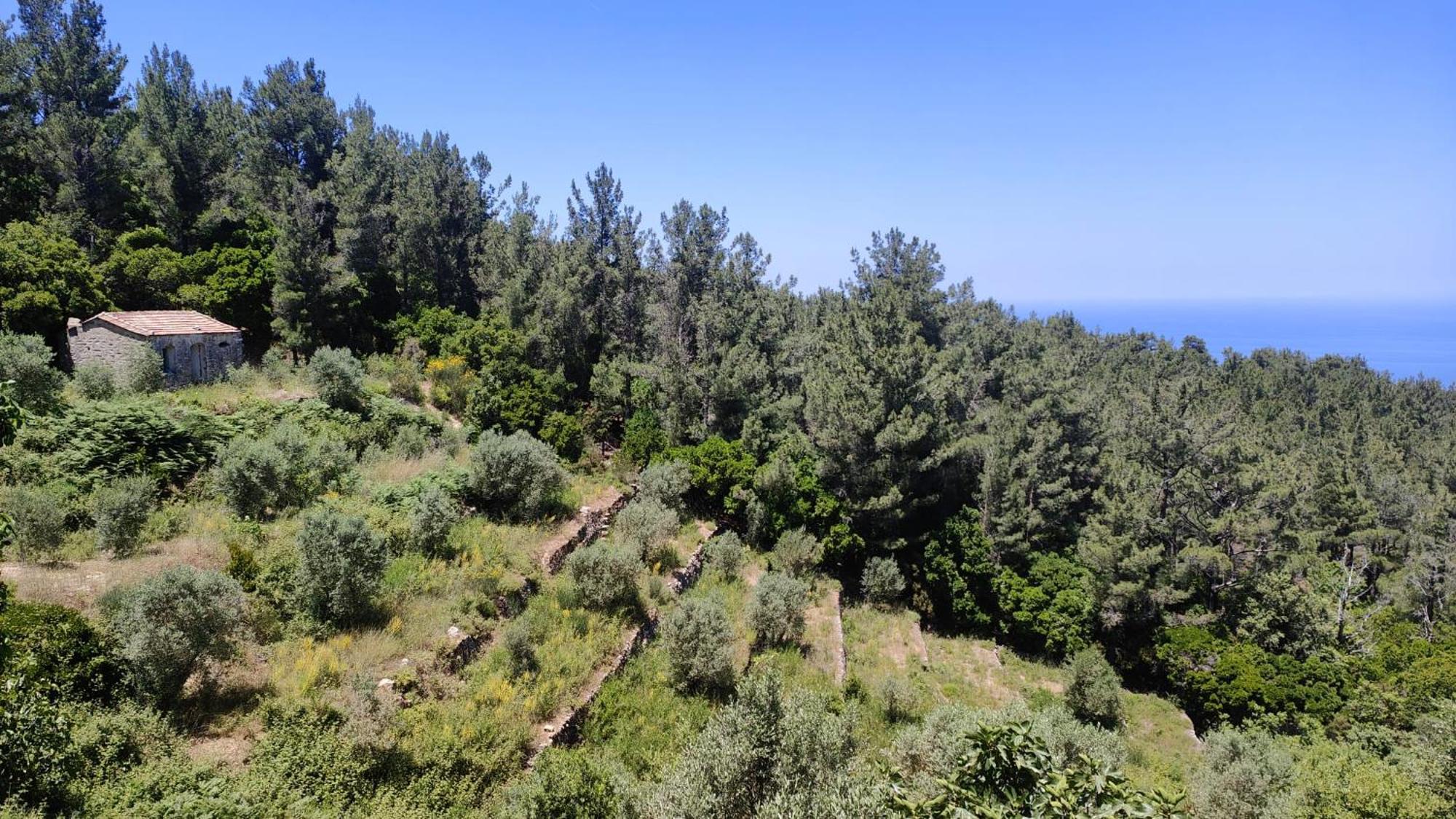 Spitikariotiko My Ikarian Hébergement de vacances