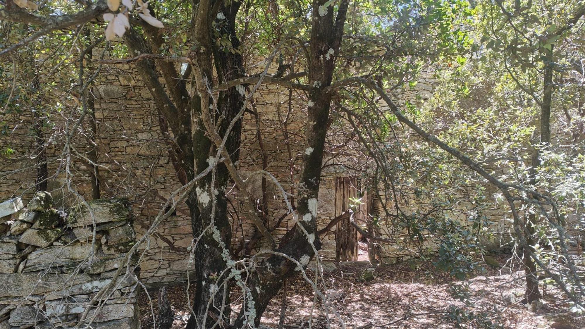 My Ikaria