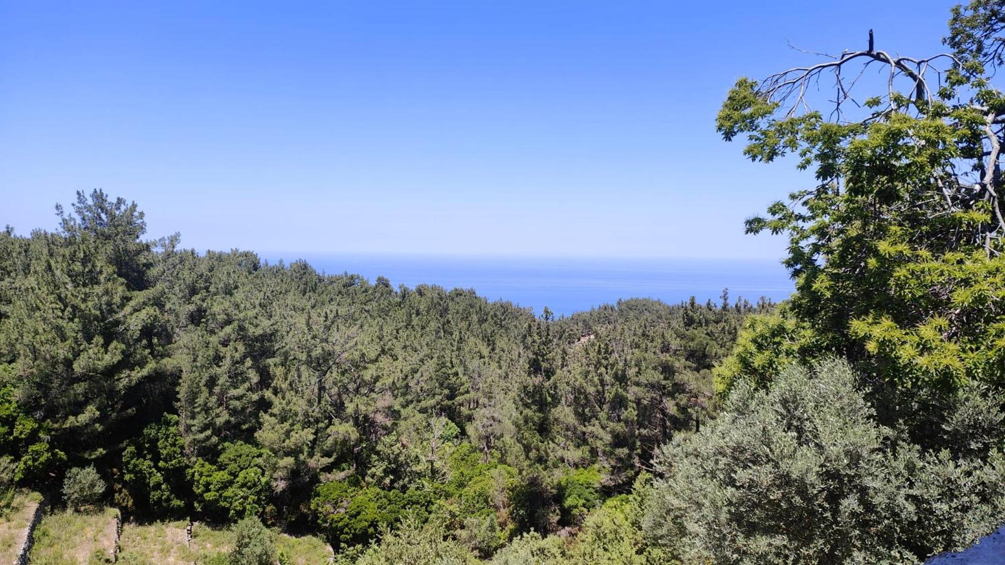 My Ikaria Hébergement de vacances Raches (Ikaria)